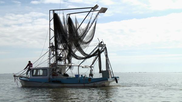 Buying the Bayou - Beaches, Bayous, Backwoods