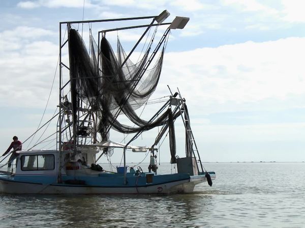 Buying the Bayou - Beaches, Bayous, Backwoods