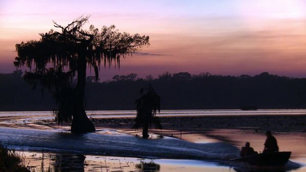 Buying the Bayou - Cajun Inventor