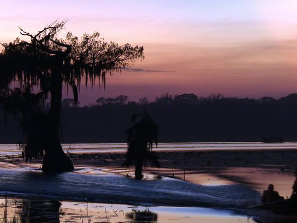 Buying the Bayou - Cajun Inventor