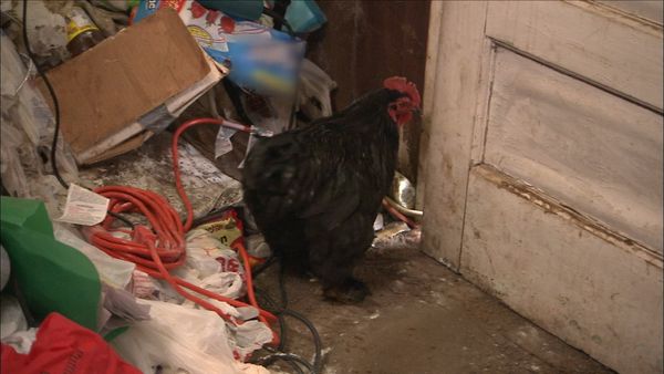 Hoarders - Where Are They Now?