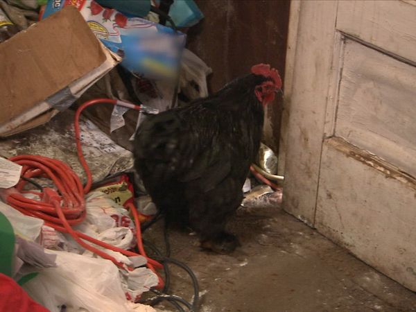 Hoarders - Where Are They Now?