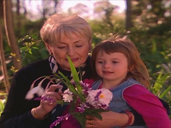 The Wiggles Show - Picking Flowers