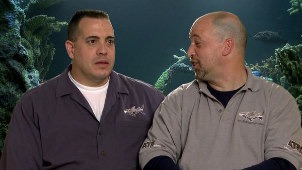 Tanked - Brett Takes a Dive
