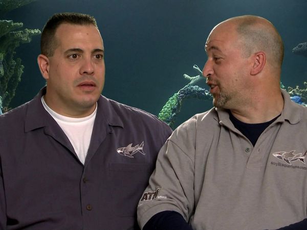 Tanked - Brett Takes a Dive