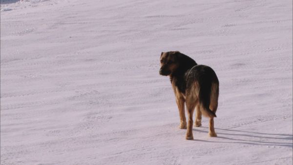 Ice Road Truckers - The Final Showdown