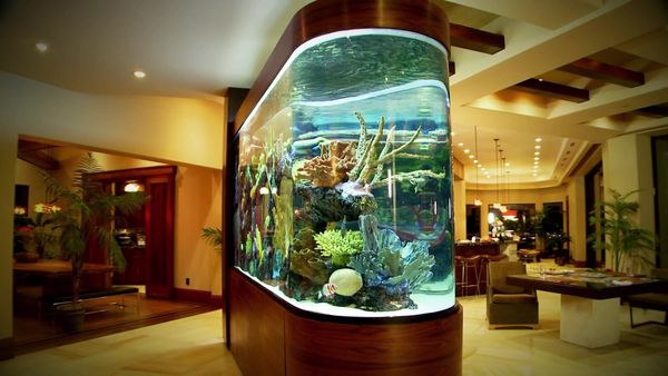 Tanked - Old School vs. New School