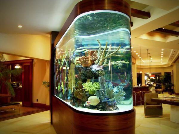 Tanked - Old School vs. New School