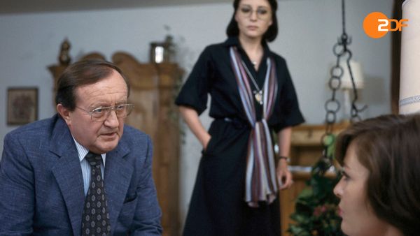 Der Alte - Die Rache