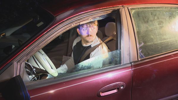 COPS - See You Later, Alligator