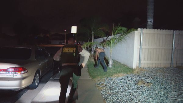 COPS - Baby, I Have to Go to Jail