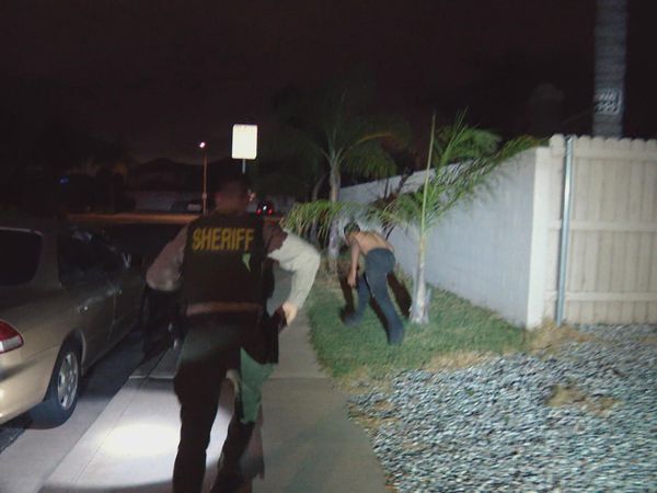 COPS - Baby, I Have to Go to Jail