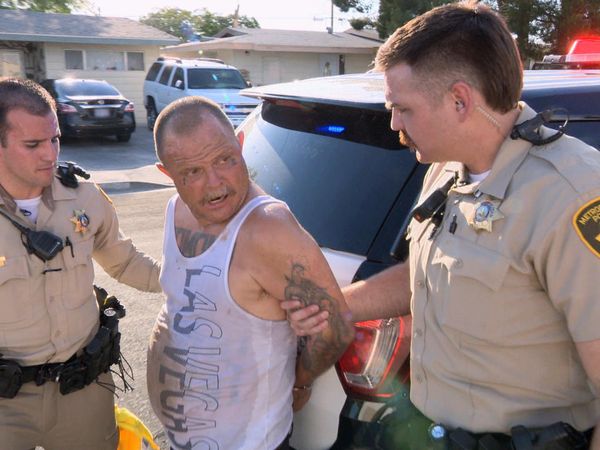 COPS - Stolen Cycle Slingshot