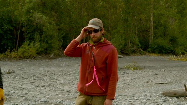 Building Alaska - Panic Button