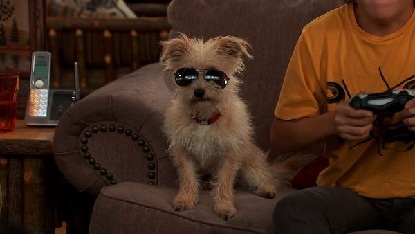 Nicky, Ricky, Dicky e Dawn - Eu Quero Minha Mae de Volta