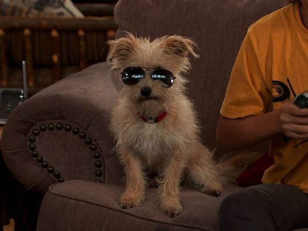 Nicky, Ricky, Dicky e Dawn - Eu Quero Minha Mae de Volta