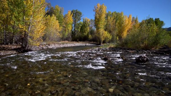 Mountain Life - Ketchum, Idaho, Mountain Abode