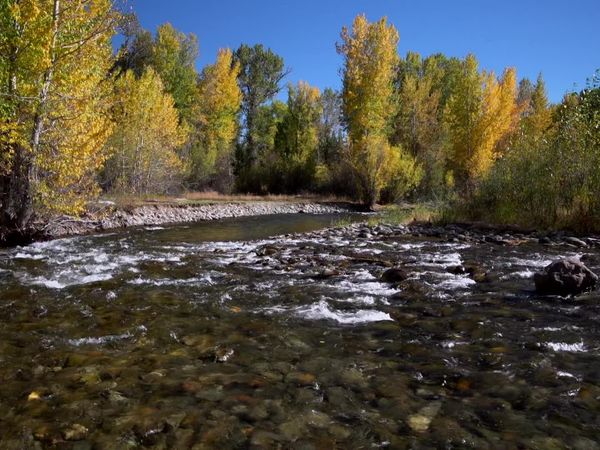 Mountain Life - Ketchum, Idaho, Mountain Abode