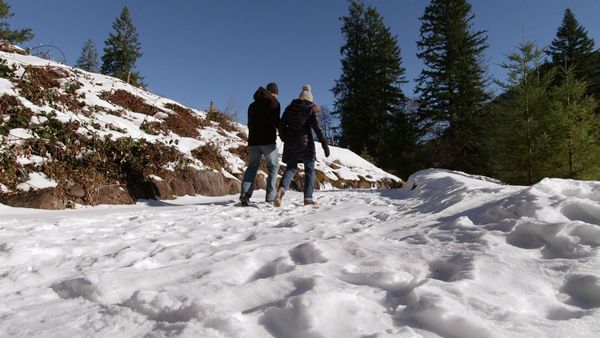Mountain Life - Mount Hood Hideaway