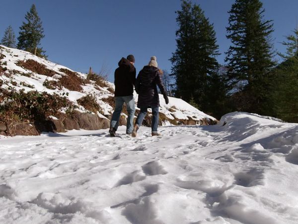 Mountain Life - Mount Hood Hideaway