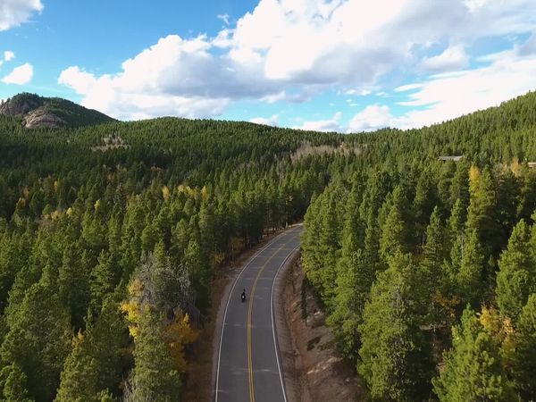 Mountain Life - Rocky Mountain House Hunt in Evergreen, Colorado