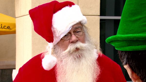 Nathan For You - Santa / Petting Zoo