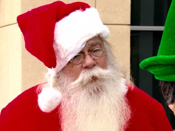 Nathan For You - Santa / Petting Zoo