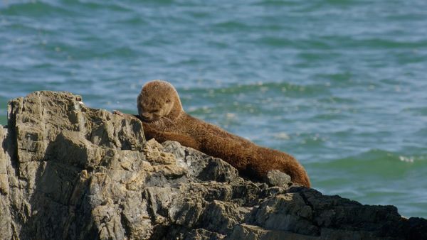 Chile: un viaje salvaje - Chile es un mar
