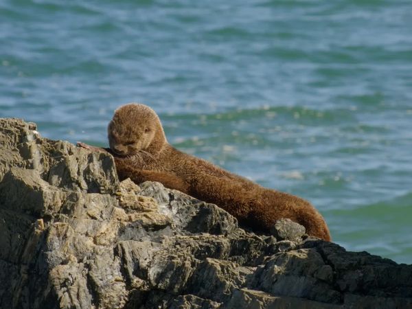 Chile: un viaje salvaje - Chile es un mar