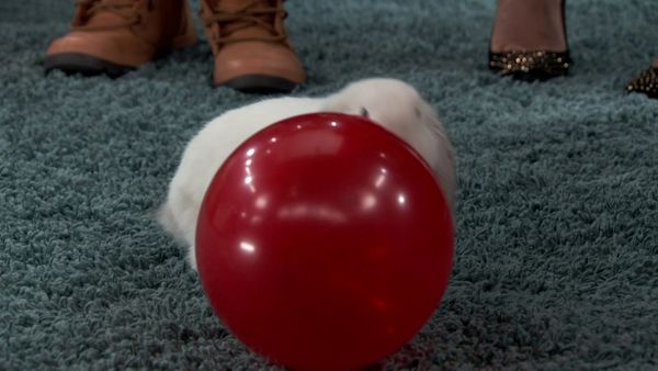 Instant Mom - Réquiem para el Sr. Blandito