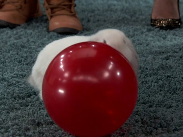 Instant Mom - Réquiem para el Sr. Blandito