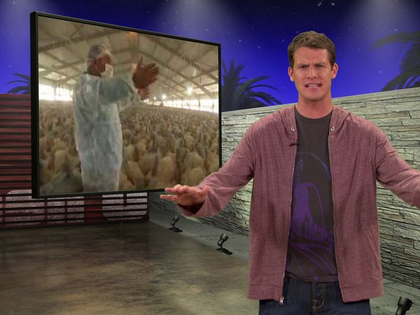 Tosh.0 - Drunk Dunk