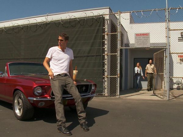 Tosh.0 - Pikespeider-tyver