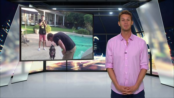 Tosh.0 - Carnival