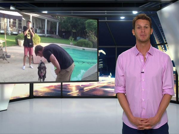 Tosh.0 - Carnival
