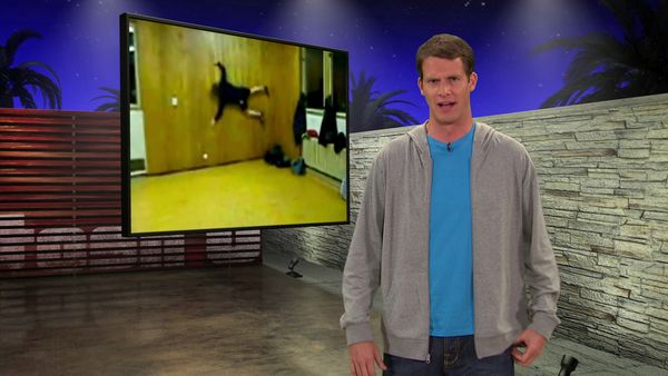 Tosh.0 - Skateboard Girl