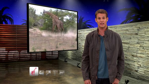Tosh.0 - WoW Freakout Kid