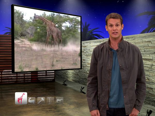 Tosh.0 - WoW Freakout Kid