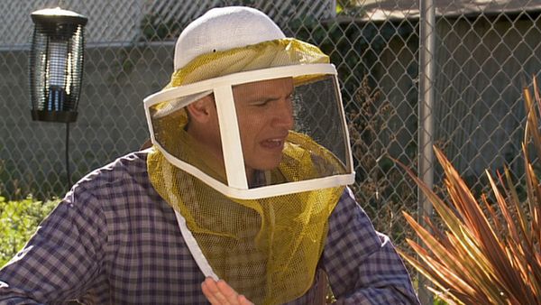 Tosh.0 - Bug in Mouth News Reporter
