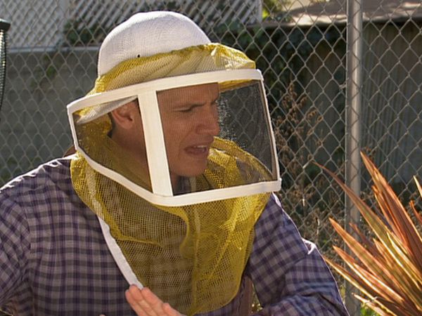 Tosh.0 - Bug in Mouth News Reporter