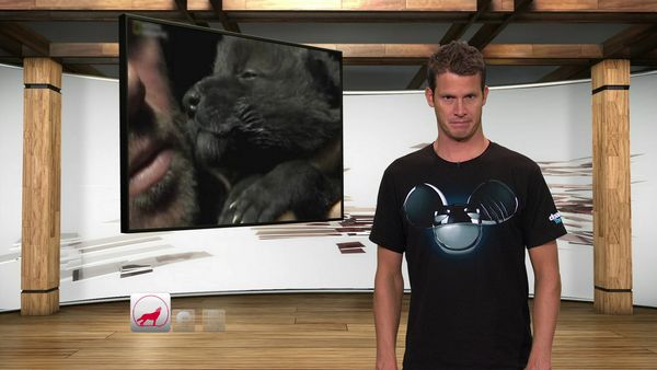 Tosh.0 - Bryan Adams Kid