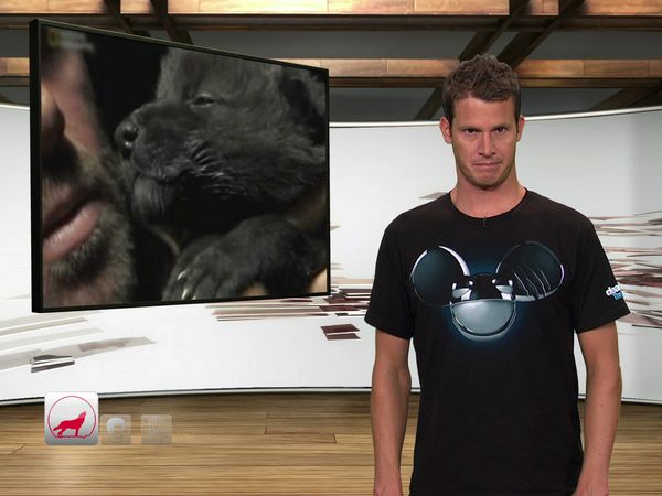 Tosh.0 - Bryan Adams Kid