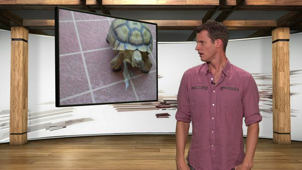 Tosh.0 - S**tty Rock Climber
