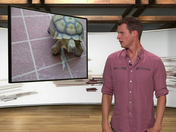 Tosh.0 - S**tty Rock Climber