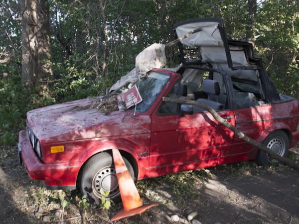 Dirty Old Cars - Avsnitt 119