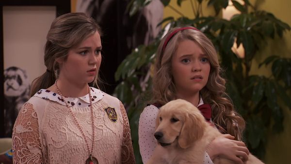School of Rock - Amor de perros