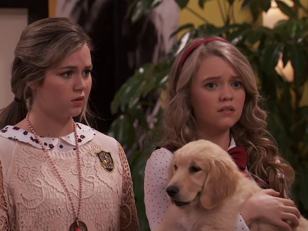 School of Rock - Amor de perros