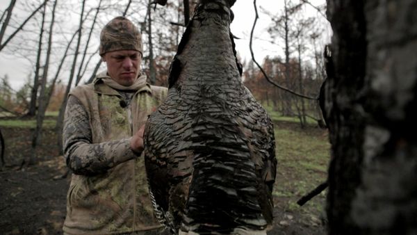 MeatEater - Big Sky, Bigger Birds: Montana Wild Turkey
