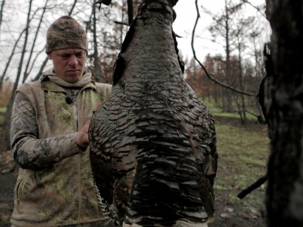 MeatEater - Big Sky, Bigger Birds: Montana Wild Turkey