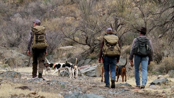 MeatEater - The Fair Chase: Arizona Mountain Lion